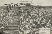 Cover of: Catalogue of Carolina grown, selected cotton seed