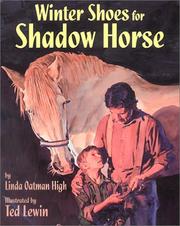 Winter shoes for Shadow Horse by Linda Oatman High