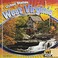 Cover of: West Virginia