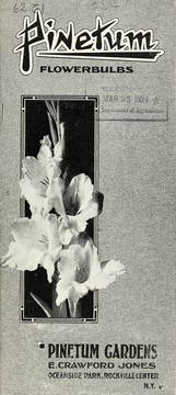 Cover of: Pinetum flowerbulbs by E. Crawford Jones (Firm)