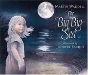 Cover of: The big big sea by Martin Waddell