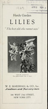 Cover of: Hardy garden lilies: the best old-the rarest new