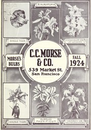 Morse's bulbs by C.C. Morse & Co