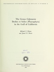 Cover of: The genus Colpomenia Derbès et Solier (Phaeophyta) in the Gulf of California