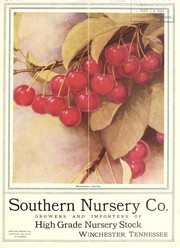 Cover of: Southern Nursery Co., growers and importers of high grade nursery stock