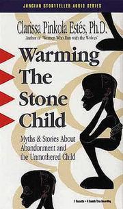 Cover of: Warming the Stone Child by 