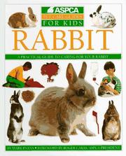 Cover of: Rabbit by Evans, Mark