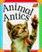 Cover of: Animal antics.
