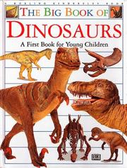 Cover of: The big book of dinosaurs: a first book for young children