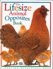 Cover of: The lifesize animal opposites book by Davis, Lee