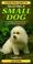 Cover of: A Practical Guide to Selecting a Small Dog