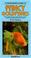 Cover of: A Fishkeeper's Guide to Fancy Goldfishes