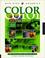 Cover of: Web Site Graphics: Color