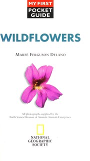 Cover of: Wildflowers by Marfe Ferguson Delano