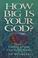 Cover of: How big is your God?