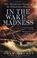 Cover of: In the Wake of Madness