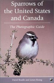 Sparrows of the United States and Canada by David Beadle, Jim Rising, James Rising