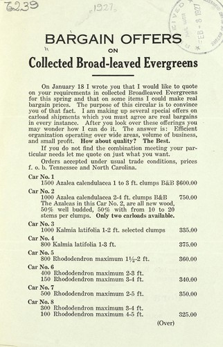 Bargain offers on collected broad-leaved evergreens by Edward Gillett (Firm)
