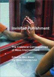 Invisible Punishment by Marc Mauer, Meda Chesney-Lind