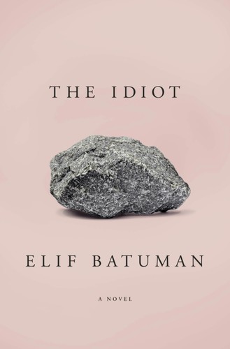 The idiot by Elif Batuman.