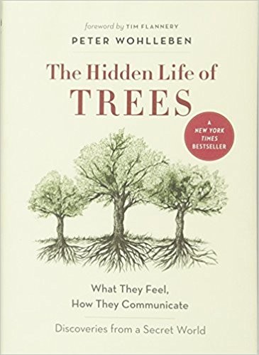 The Hidden Life of Trees by 