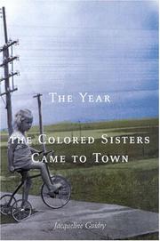 Cover of: The year the colored sisters came to town