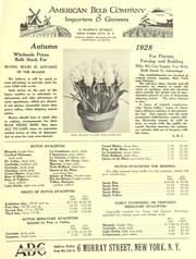 Cover of: Autumn 1928 wholesale prices bulb stock for florists | American Bulb Company