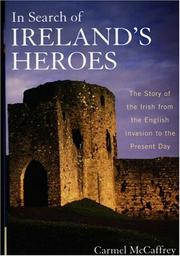 Cover of: In Search of Ireland's Heroes: The Story of the Irish from the English Invasion to the Present Day