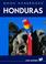 Cover of: Moon Handbooks Honduras