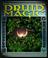 Cover of: Druid Magic