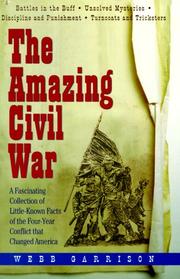 Cover of: The Amazing Civil War by Webb B. Garrison