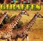 Cover of: Giraffes