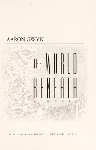 The world beneath : a novel by 