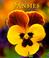 Cover of: Pansies