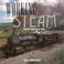 Cover of: Working Steam