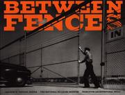 Between Fences by Gregory K. Dreicer