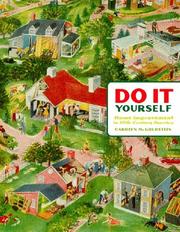 Cover of: Do it yourself: home improvement in 20th-century America