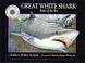 Cover of: Great white shark, ruler of the sea