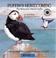 Cover of: Puffin's Homecoming