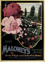 Cover of: Maloney