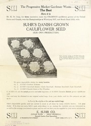 Suhrs Danish grown cauliflower seed
