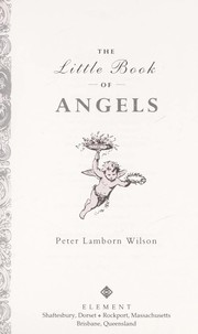 Cover of: The little book of angels | Peter Lamborn Wilson