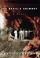 Cover of: The devil's chimney