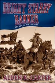 Cover of: Bright Starry Banner: A Novel of the Civil War