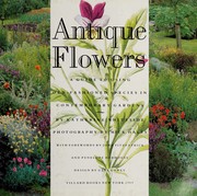 Cover of: Antique flowers: a guide to using old-fashioned species in contemporary gardens