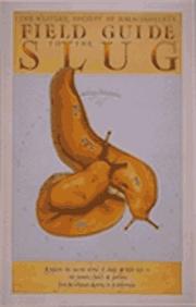 Cover of: Field guide to the slug by David G. Gordon