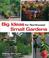 Cover of: Big Ideas for Northwest Small Gardens