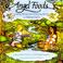 Cover of: Angel Foods