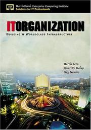 Cover of: IT organization