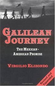 Cover of: Galilean journey by Virgilio P. Elizondo